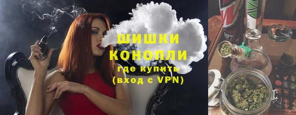 МДПВ Богородицк