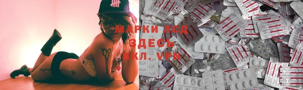хмурый Сатка