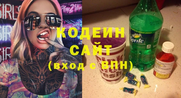 хмурый Сатка