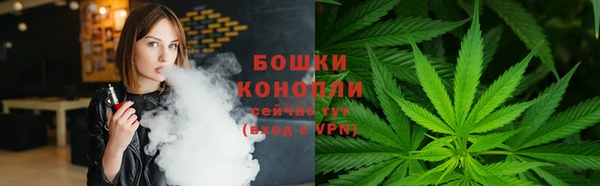 ГАЛЛЮЦИНОГЕННЫЕ ГРИБЫ Богданович