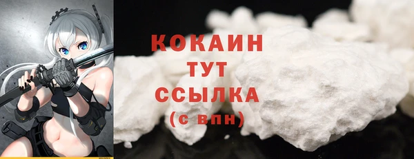 ГАЛЛЮЦИНОГЕННЫЕ ГРИБЫ Богданович