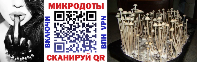 Галлюциногенные грибы MAGIC MUSHROOMS  что такое наркотик  Томари 